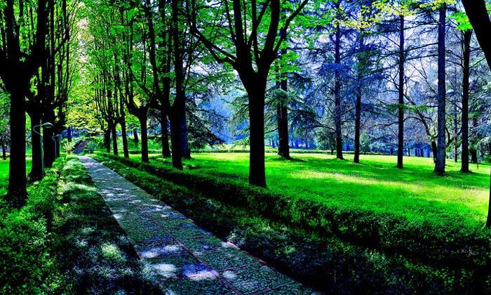 Hotel Terme Monticelli Terme Exterior foto
